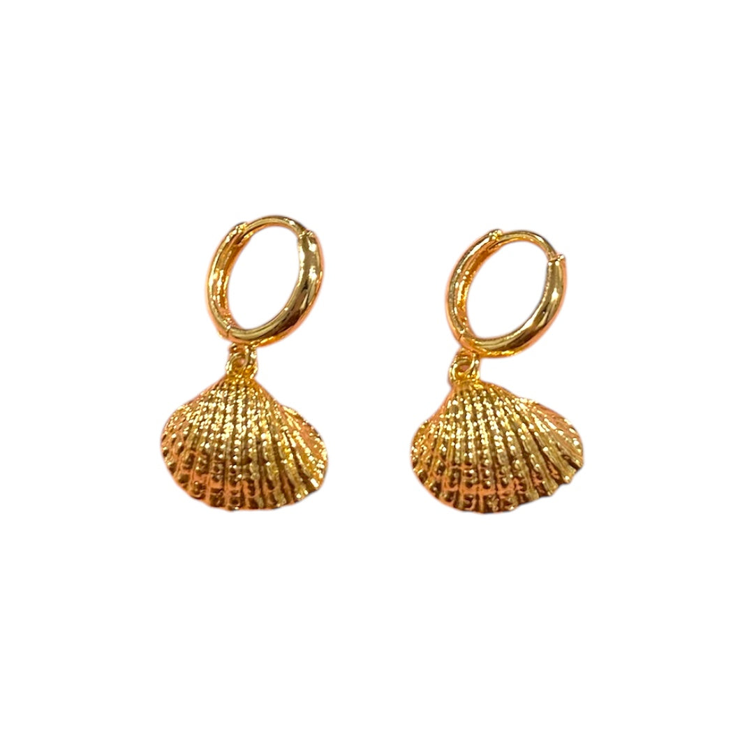 Gold shell Earrings